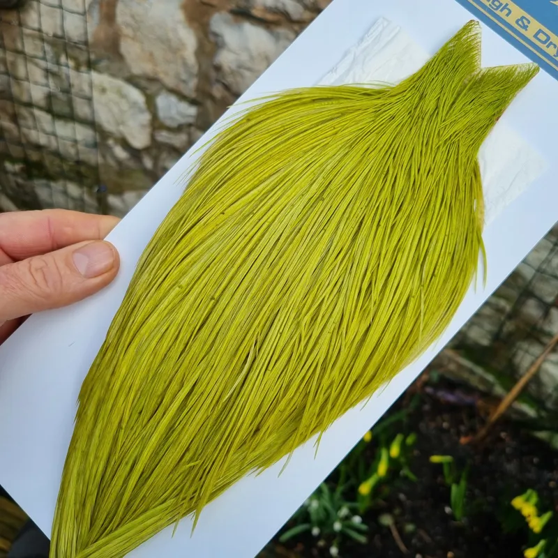 Whiting High and Dry Rooster Cape in Olive-1